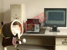 YG730棉纖維長度照影儀